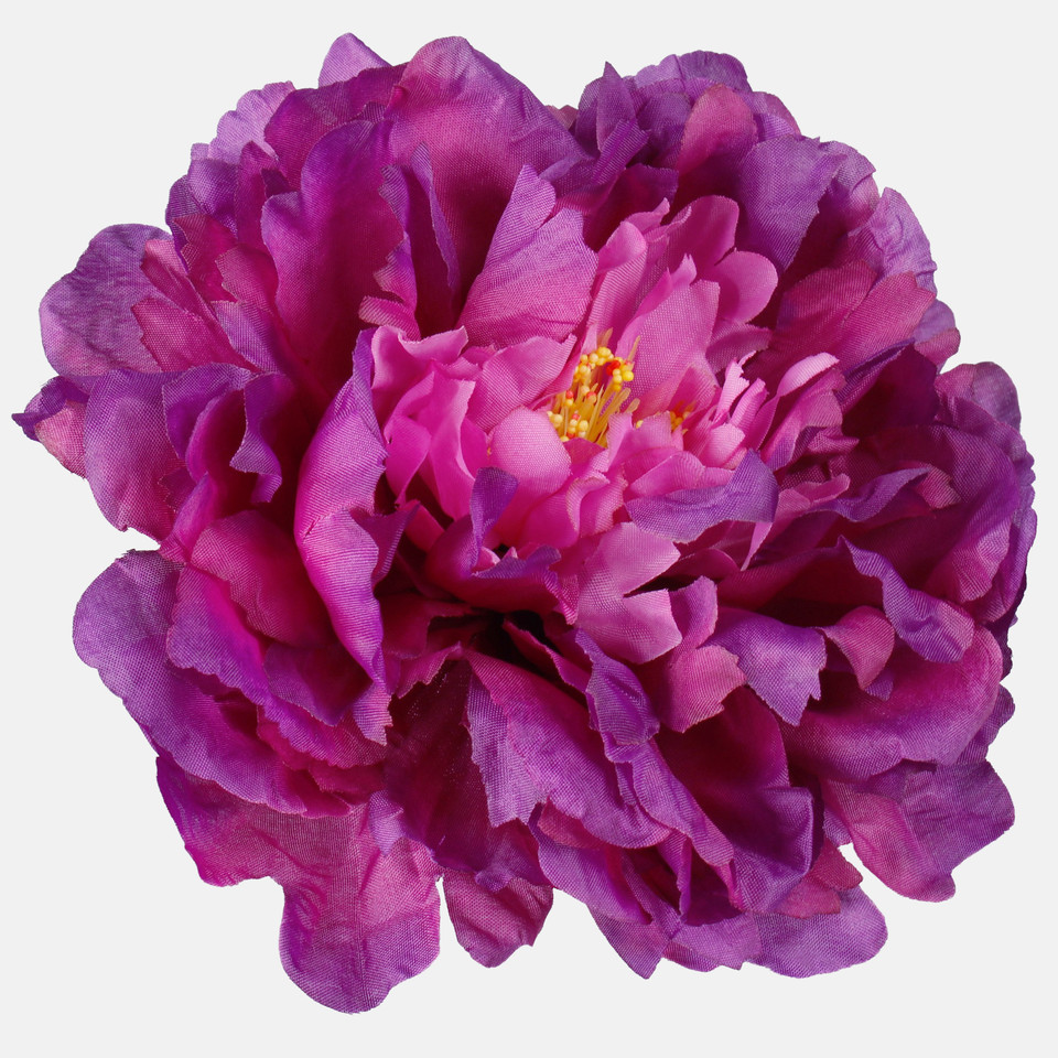Peony, T.T. Purple W615-05