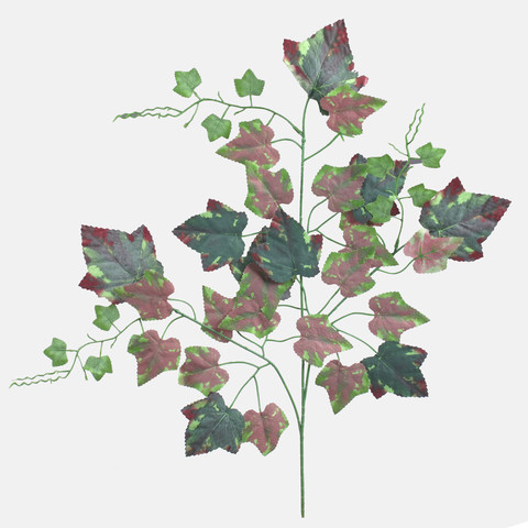 Vine F218