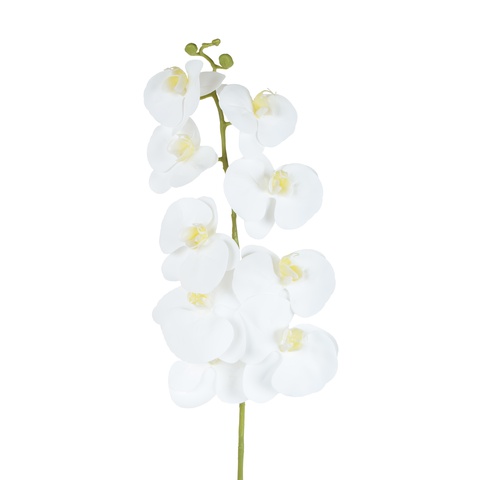 Storczyk - gałązka gumowana 102 cm, pure white GK560-26