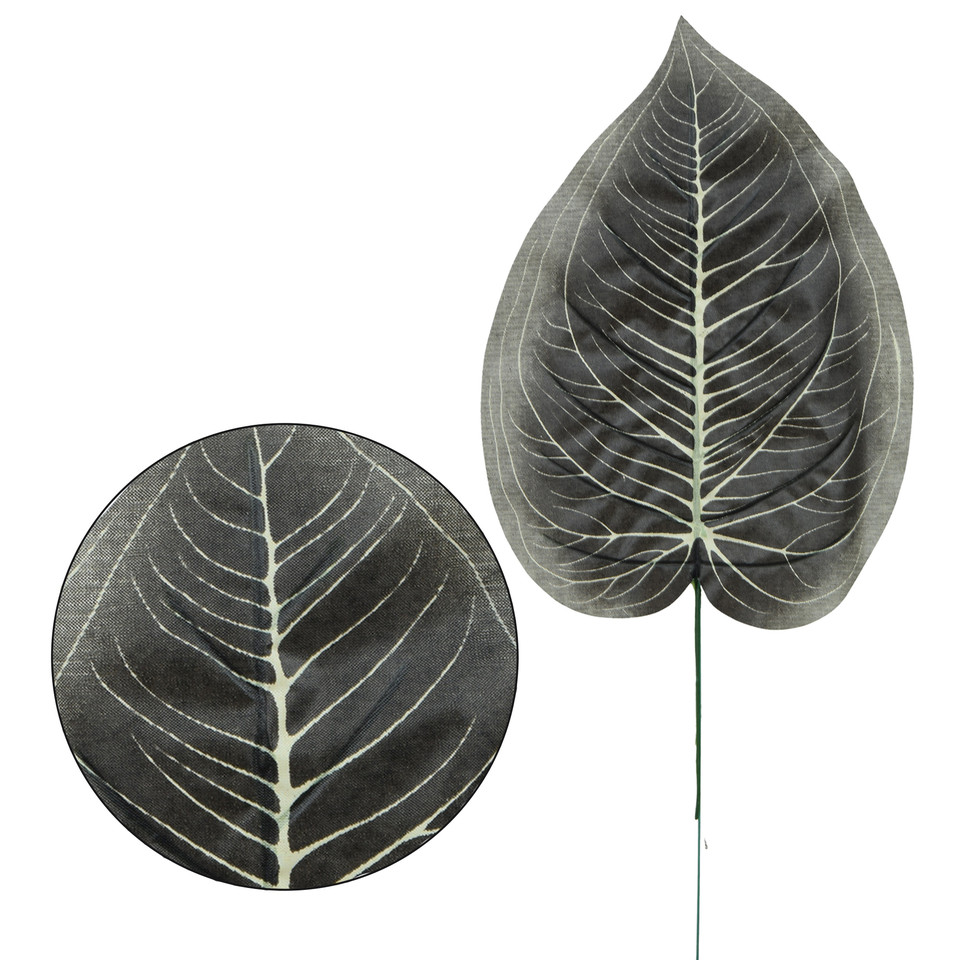 Hosta - liść 47 cm L495-00