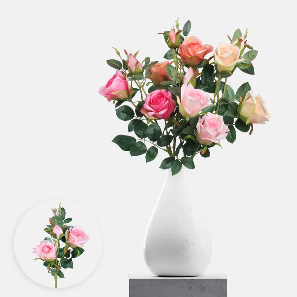 Rose, Mix 1 L738-01