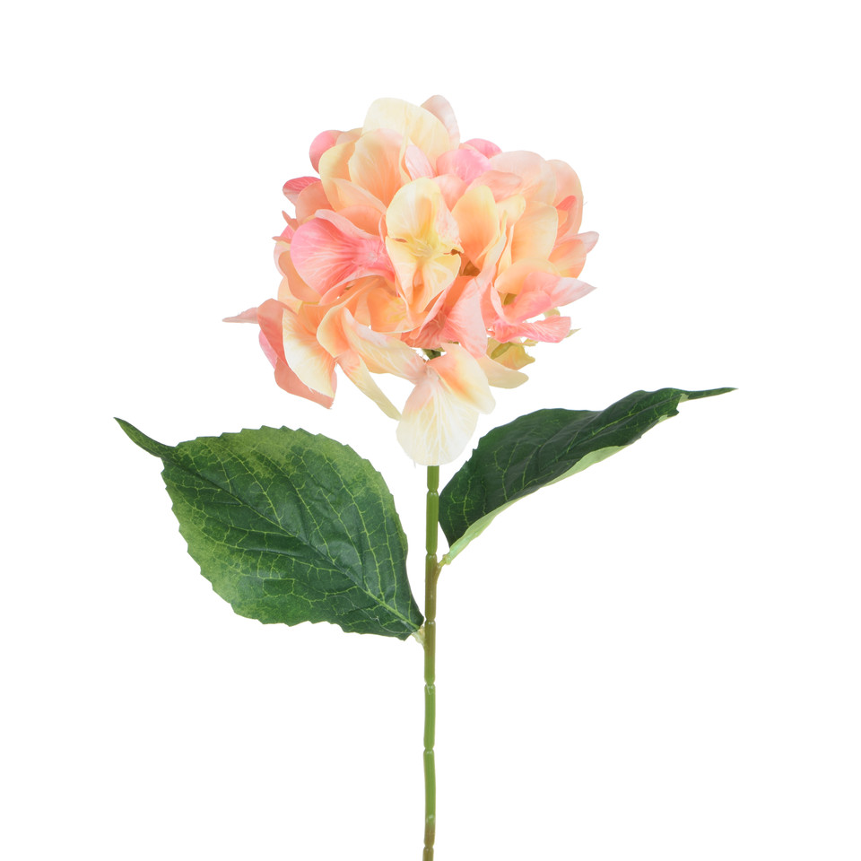 Hortensja - gałązka 60 cm, cream/peach K364-16