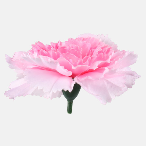 Carnation, Pink W680-12