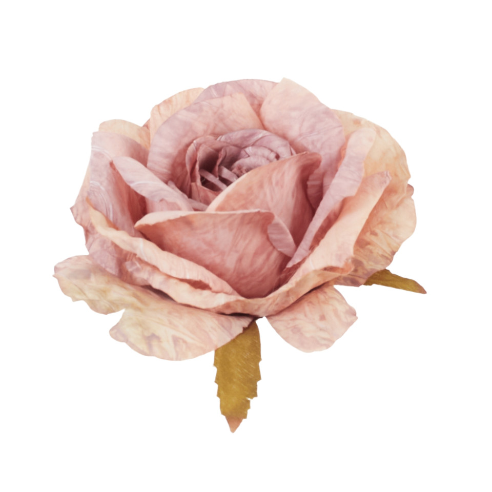 Róża - główka, 10 pastel pink B130-10
