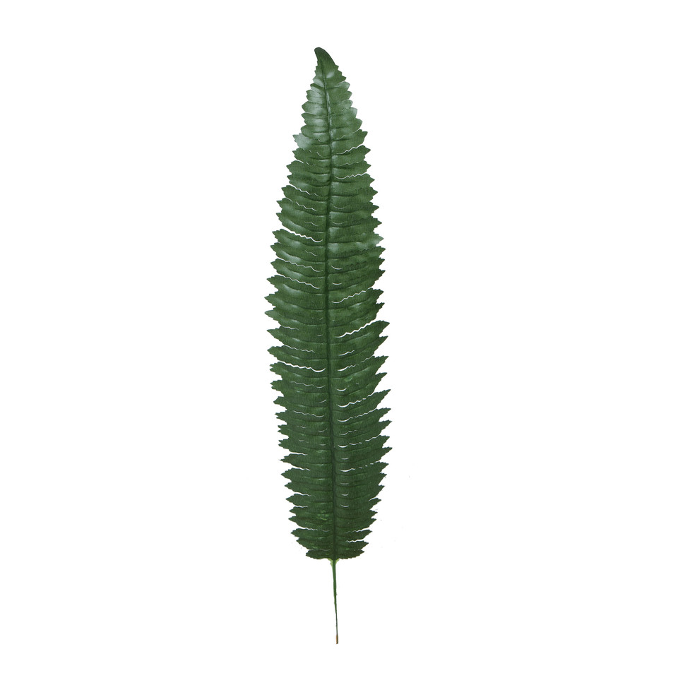 Paproć - liść 55 cm, dk. green L490-02