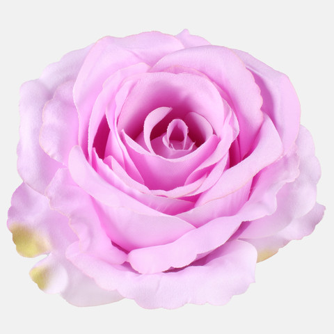 Rose, Lilac W697-12