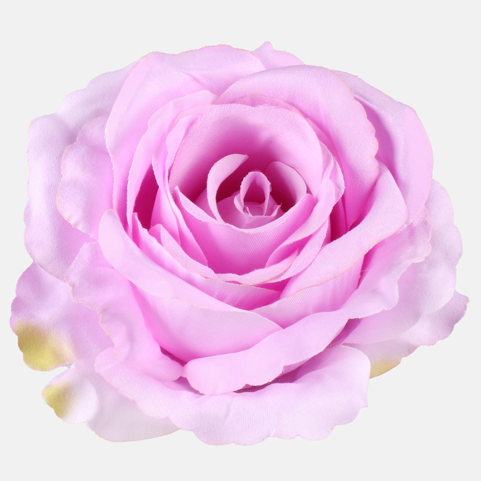 Rose, Lilac W697-12