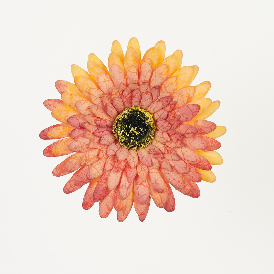 Gerbera – główka drukowana, orange B75-06