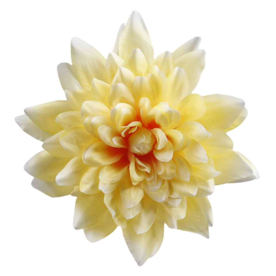 Dalia, Yellow W170-28