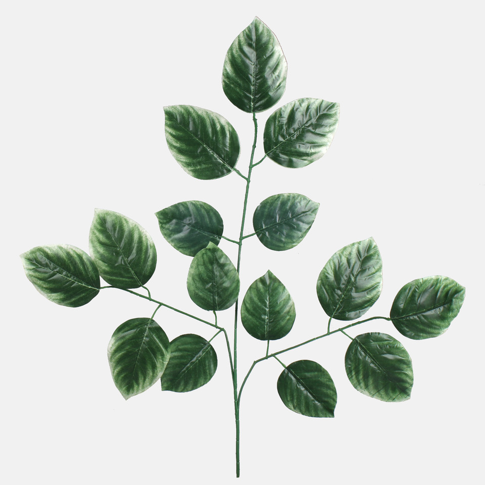 Linden, Green/Cream Edge F235-01