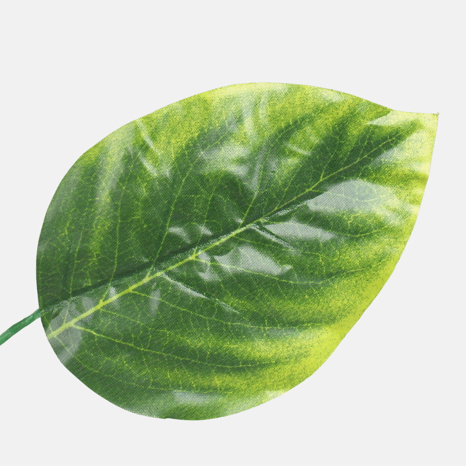 Linden, Green/Lt. Green Edge F213-01