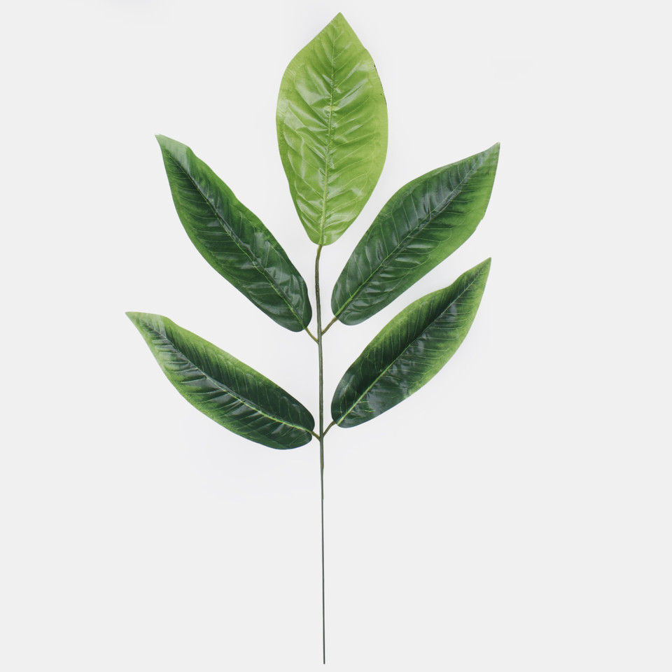 Mango, Green/Lt. Green F003