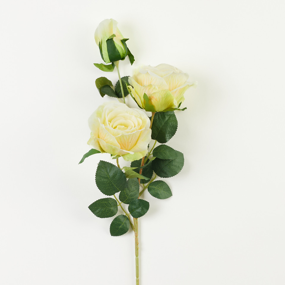 Róża – gałązka x3, cream w/green A59-003