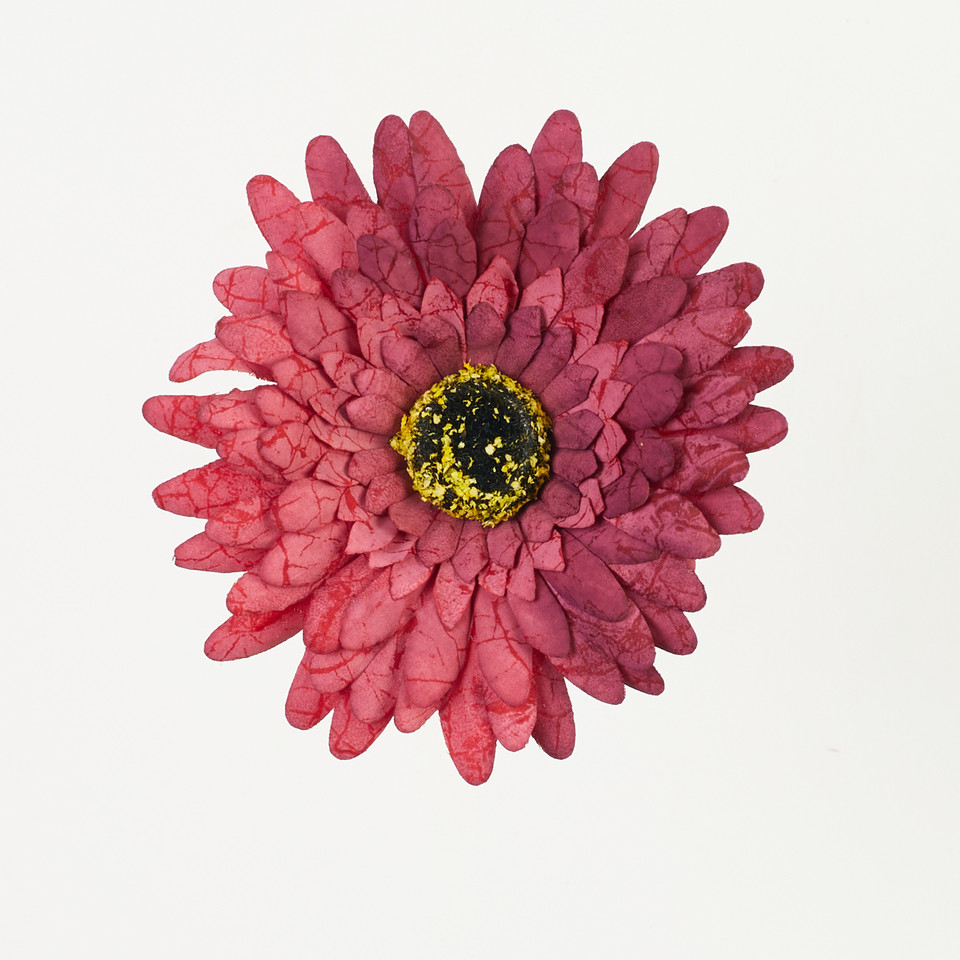 Gerbera – główka drukowana, dk.red B75-07
