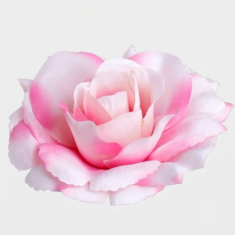 Róża Sonia, Pink/Cream W625-30