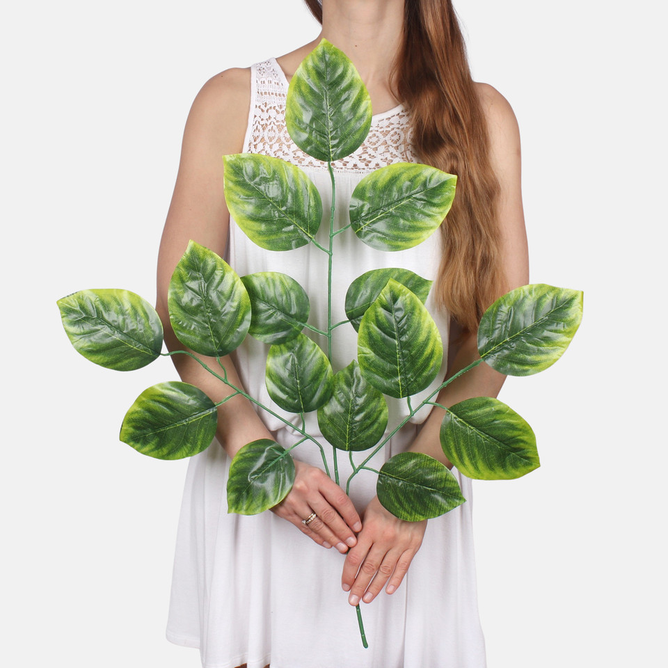 Linden F236