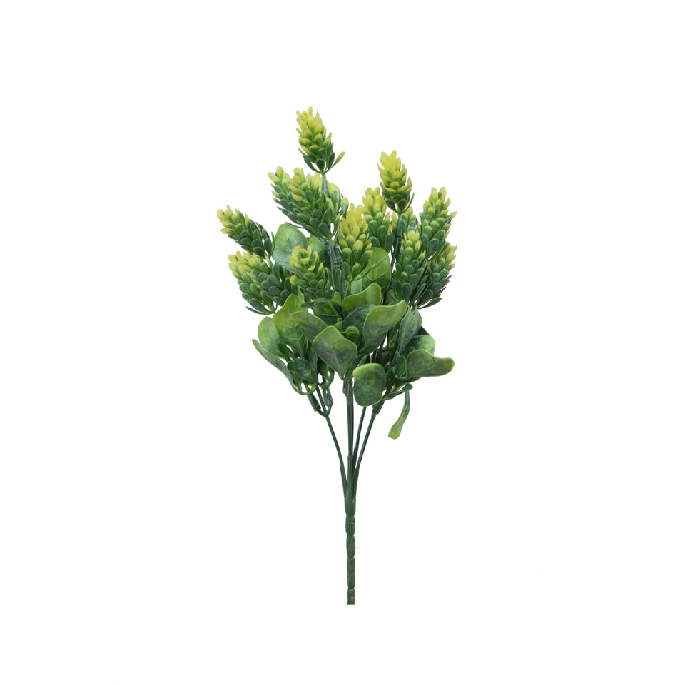 Chmiel - bukiet 30 cm, m R575-m
