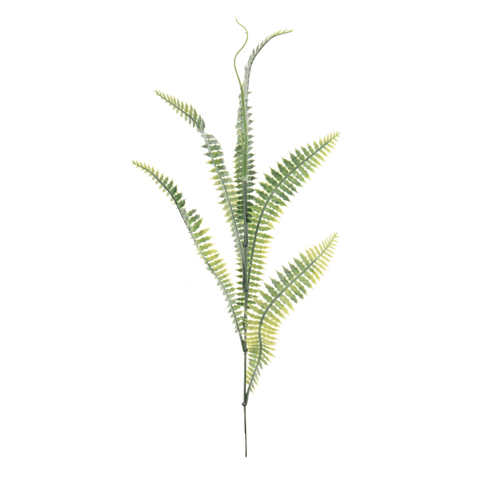 Paproć - gałązka 43 cm, green L150-00