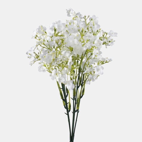 Gypsophila bouquet A746