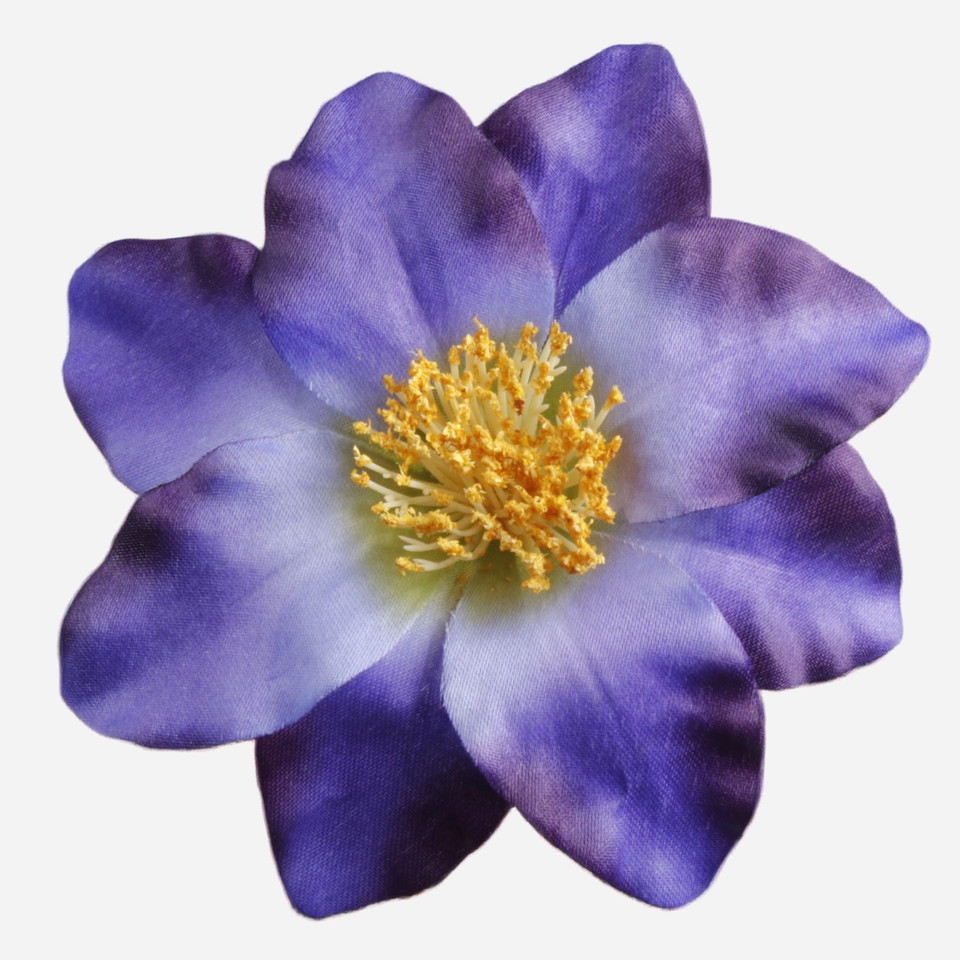 Clematis, T.T. Blue/Green/Yellow Center W572-14
