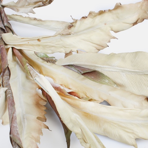 Artificial autumn corn stalks, Mix 1 A760Y-01