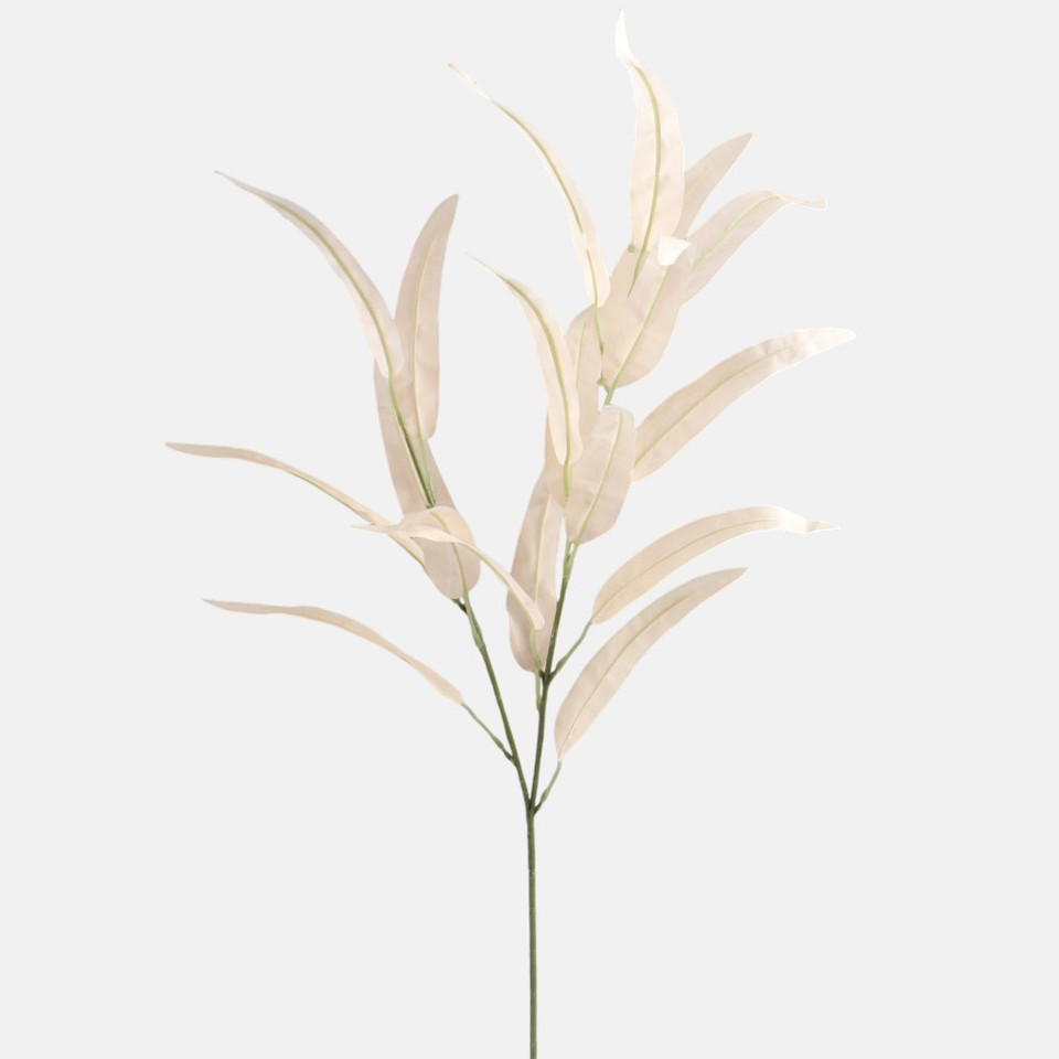 Wierzba, Peach F250-02
