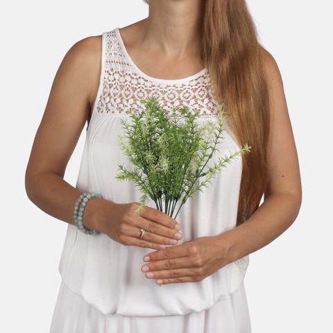 Asparagus A336