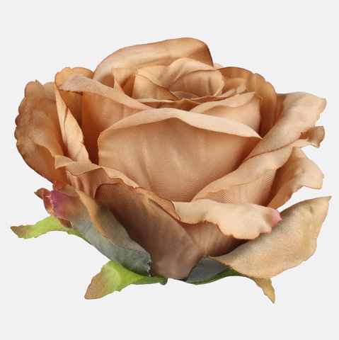 Róża, Dk. Beige W697-27