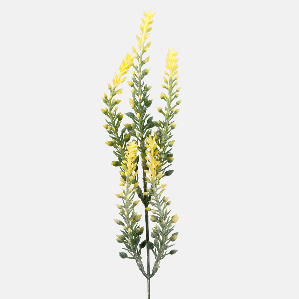 Heather, Yellow A367K-05