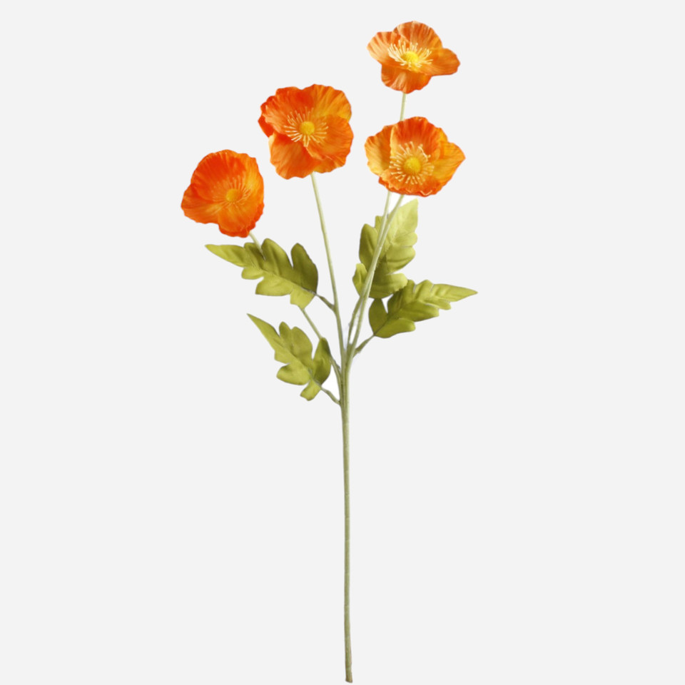 Anemon x 4, Orange G508-14
