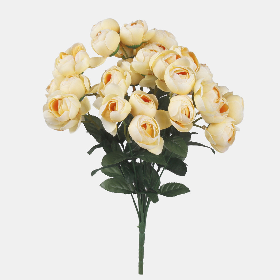 Camellia x 36, Mix 1 QA285-01