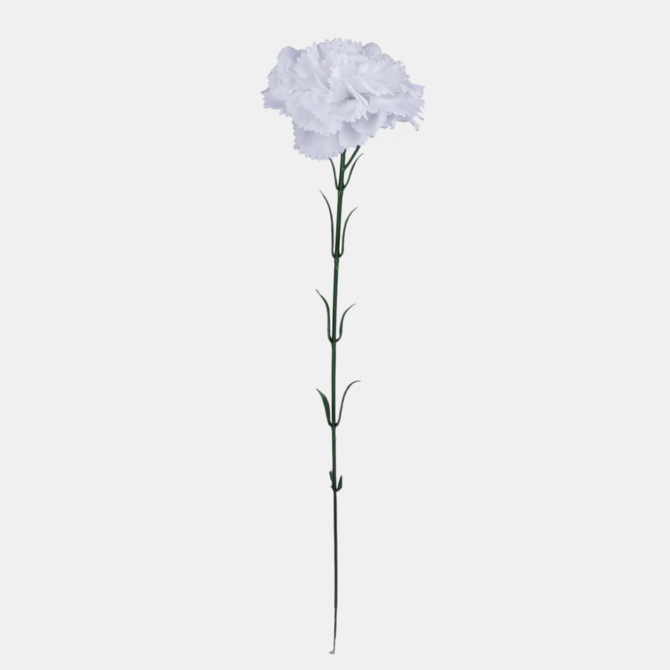 Goździk, Pure White G392-02