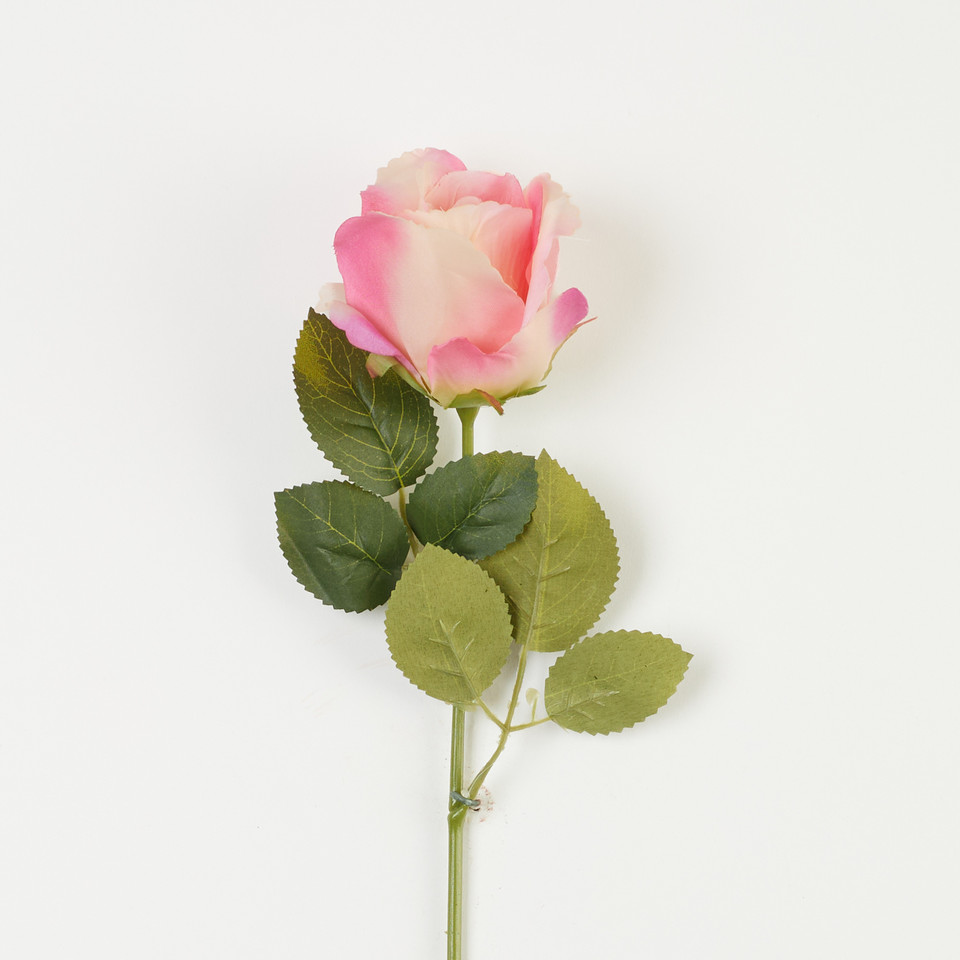 Róża – gałązka, pink/purple B08-030