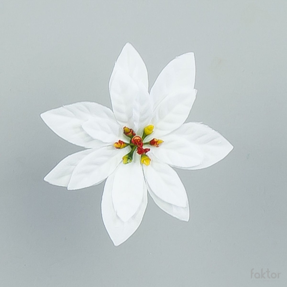 Poinsettia, White Y30-W