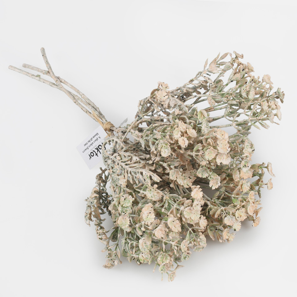 Kocanka bukiet, Cream A773-03