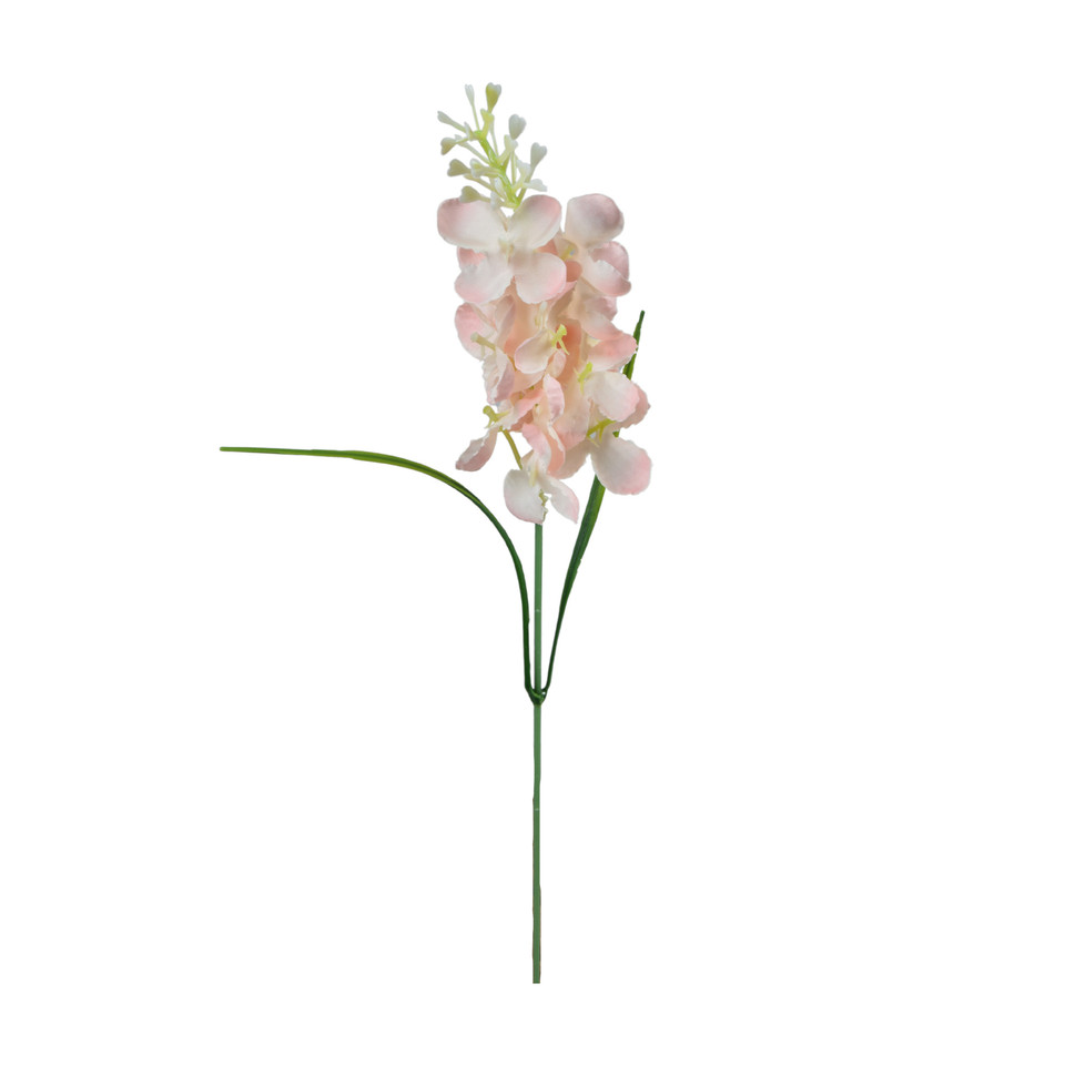 Hiacynt - pik 36 cm, m DK077E-m