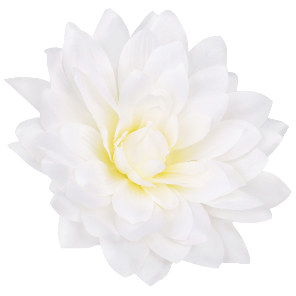 Dalia satynowa XL, T.T. Cream W537-01