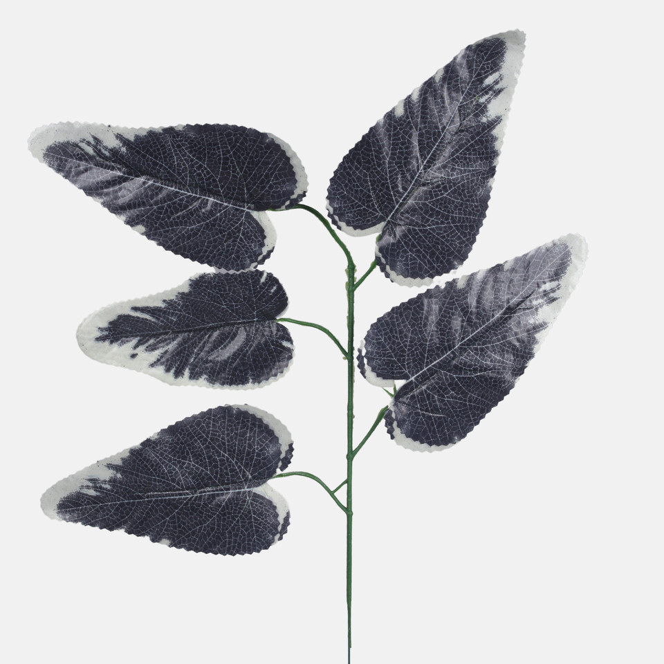 Hibiscus, Black/White Edge F165-01