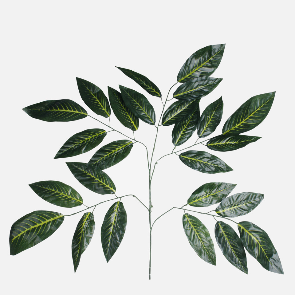 Mango (5 x 5), Dk. Green/Yellow Veins F004X5-01