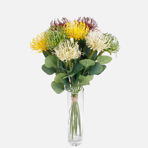Pincushion Protea, Cream A649-04
