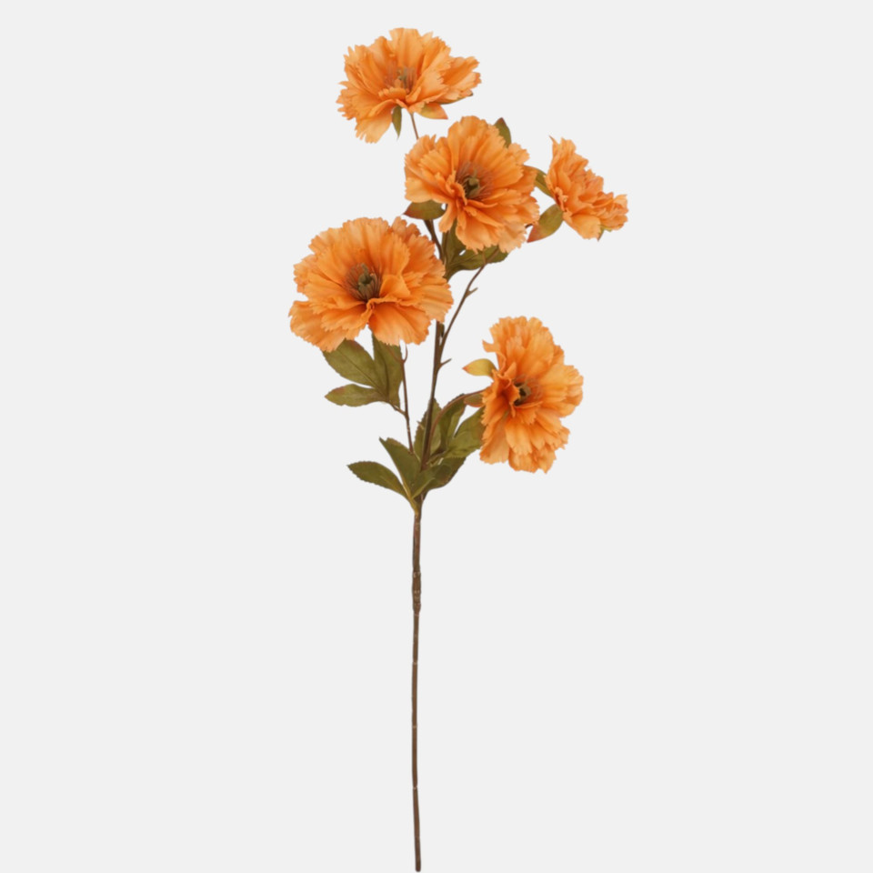 Goździk x 5, Orange L906-07
