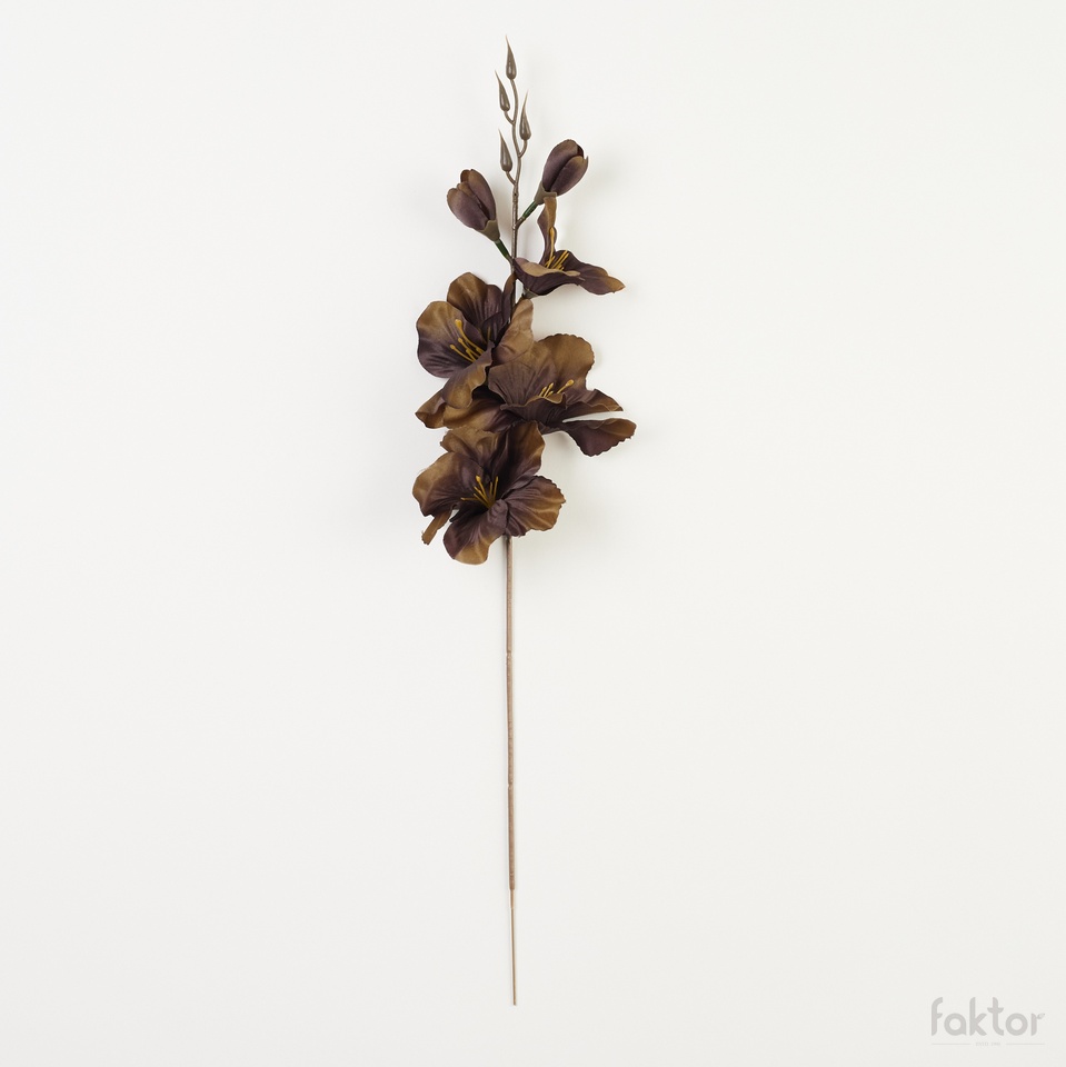 Mieczyk – pik satyna (12 szt.), autumn tt. brown W183-61