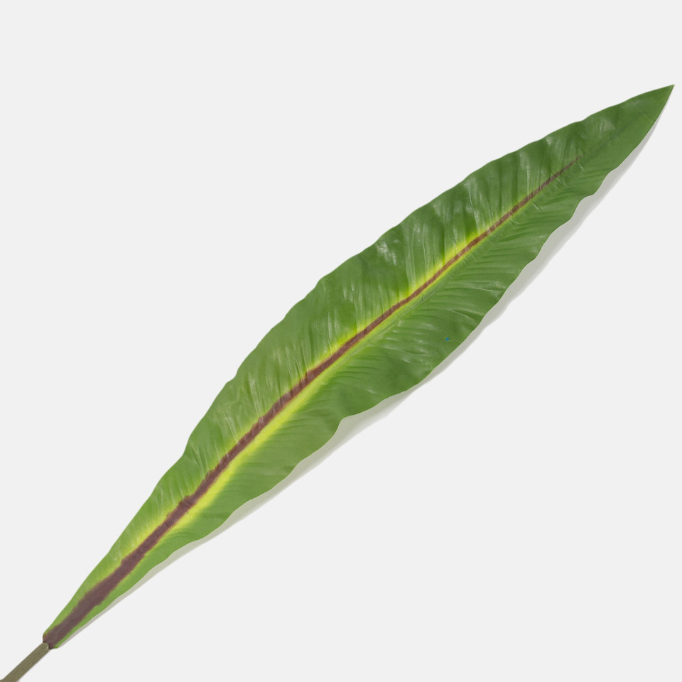 Rubberised strelitzia leaf XXL, Green A624L