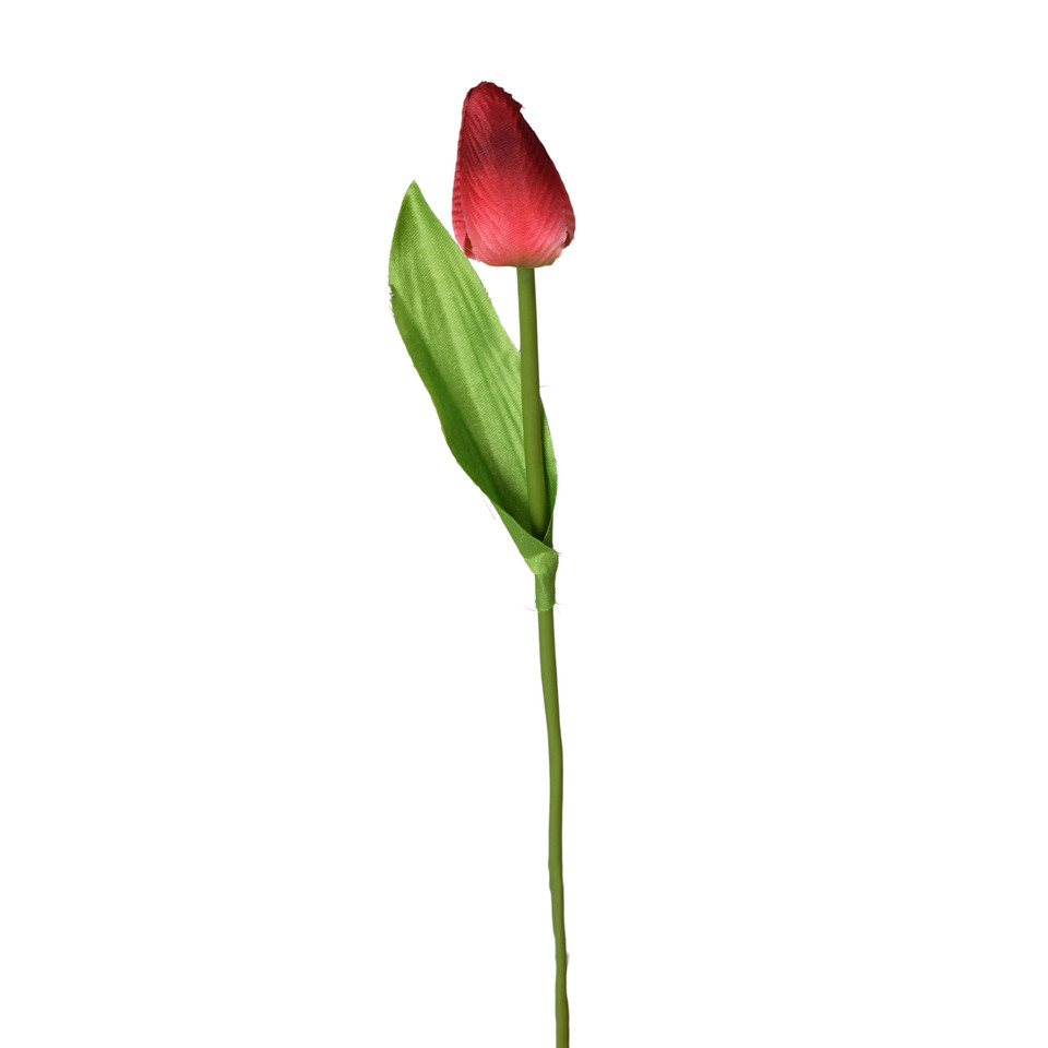 Tulipan - gałązka 44 cm, m K375-m
