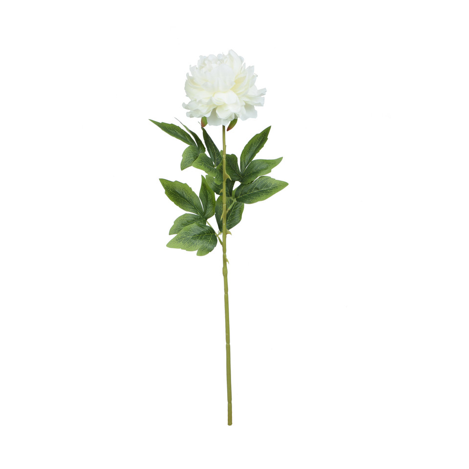 Peonia - gałązka 68 cm, white K415-01