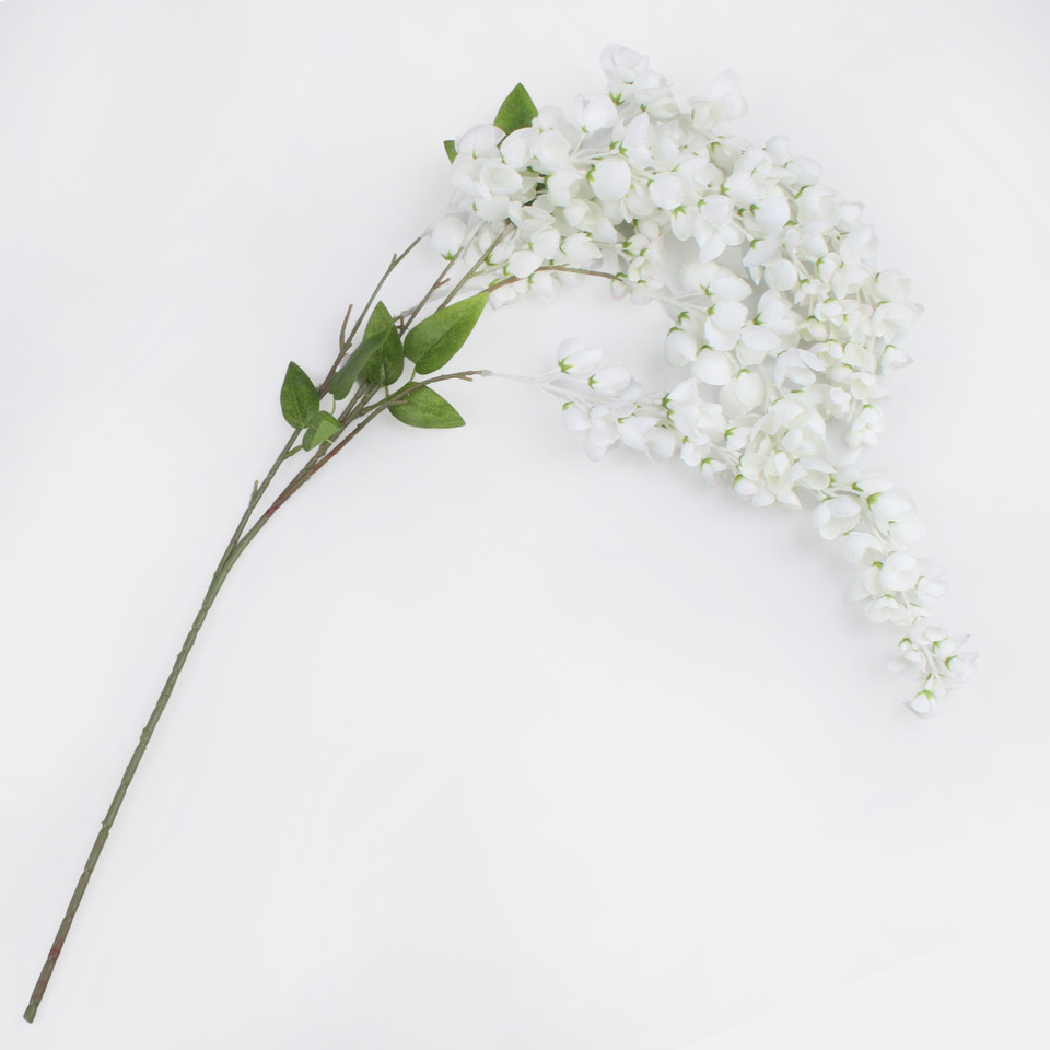 Wisteria, Cream K121-01
