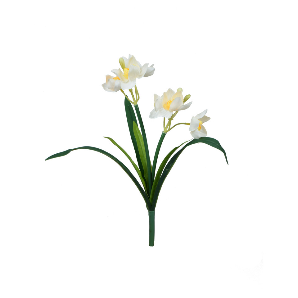 Żonkil - bukiet 36 cm, m U970E-m
