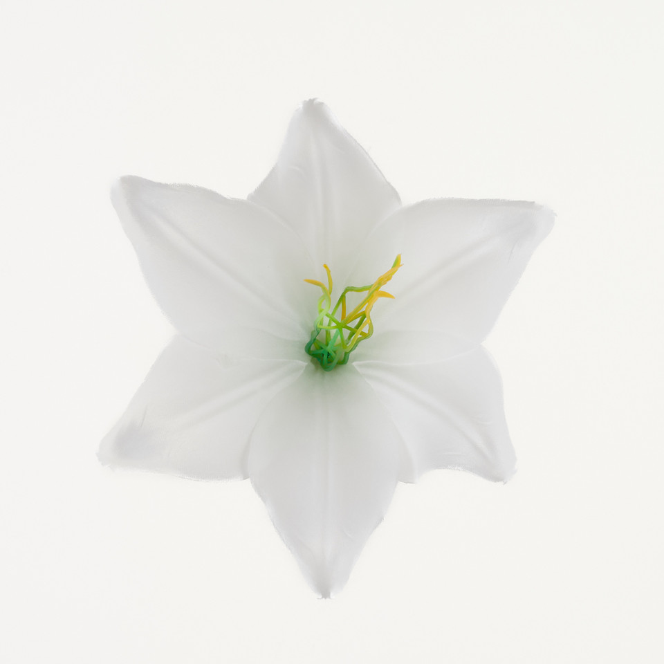 Lilia – główka satyna, pure white B276-001