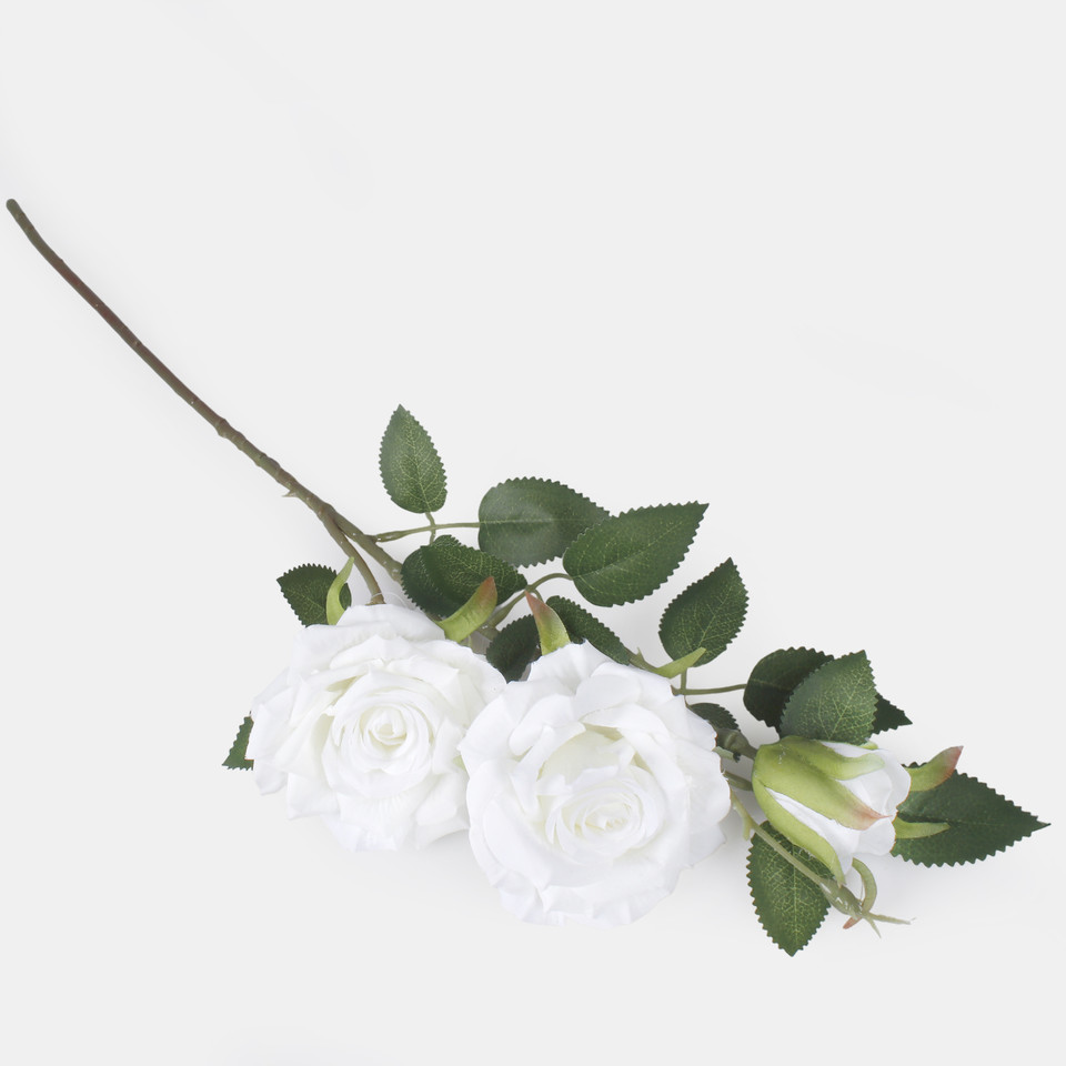 Róża x 3, White L903-01