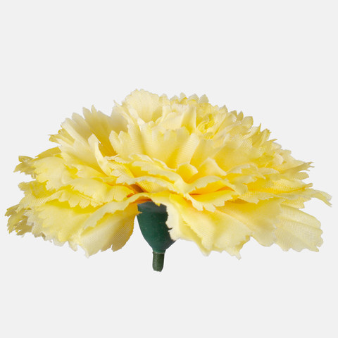 Carnation W680